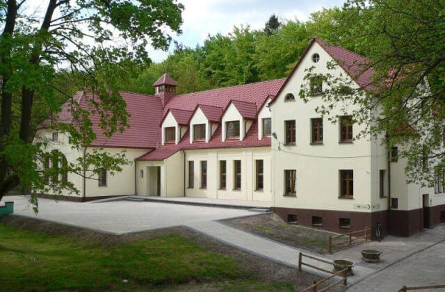 Leśny Kot w Słupsku