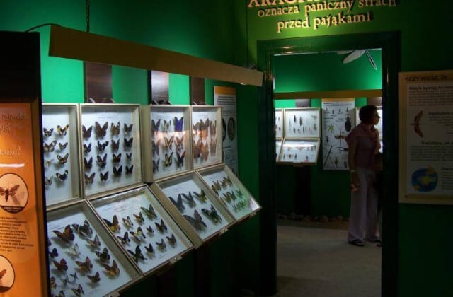 Muzeum Motyli we Władysławowie