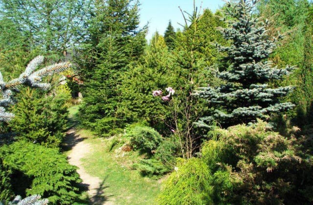 Ogród botaniczny Gołubie