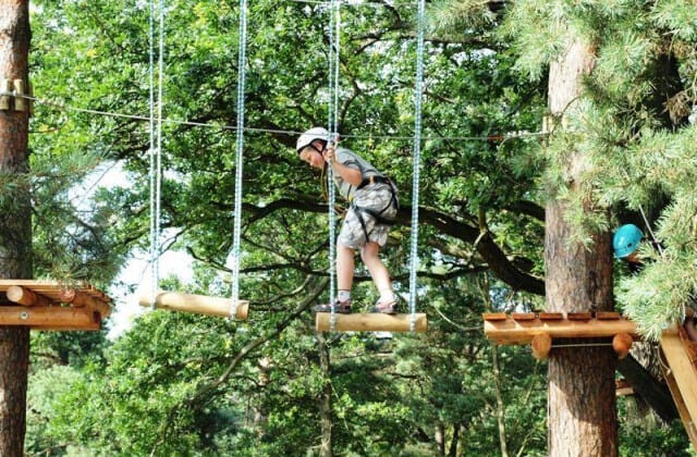 Park Linowy Zegarowscy Stegna