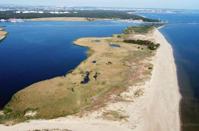 Rezerwat Ptasi Raj Wyspa Sobieszewska Gdańsk Sobieszewo