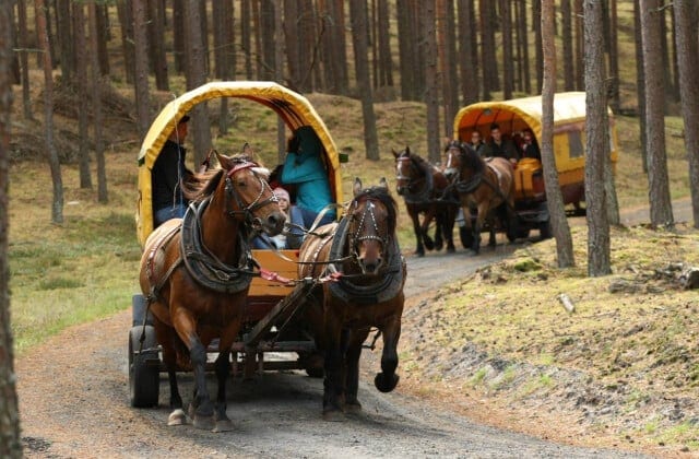 Agroturystyka Jędruś