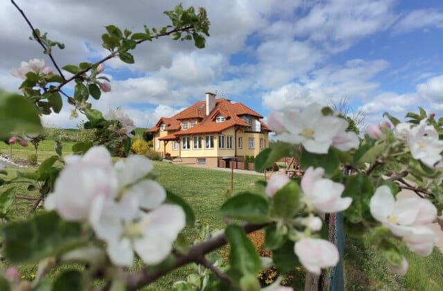 Agroturystyka Pod Ptasią Górą